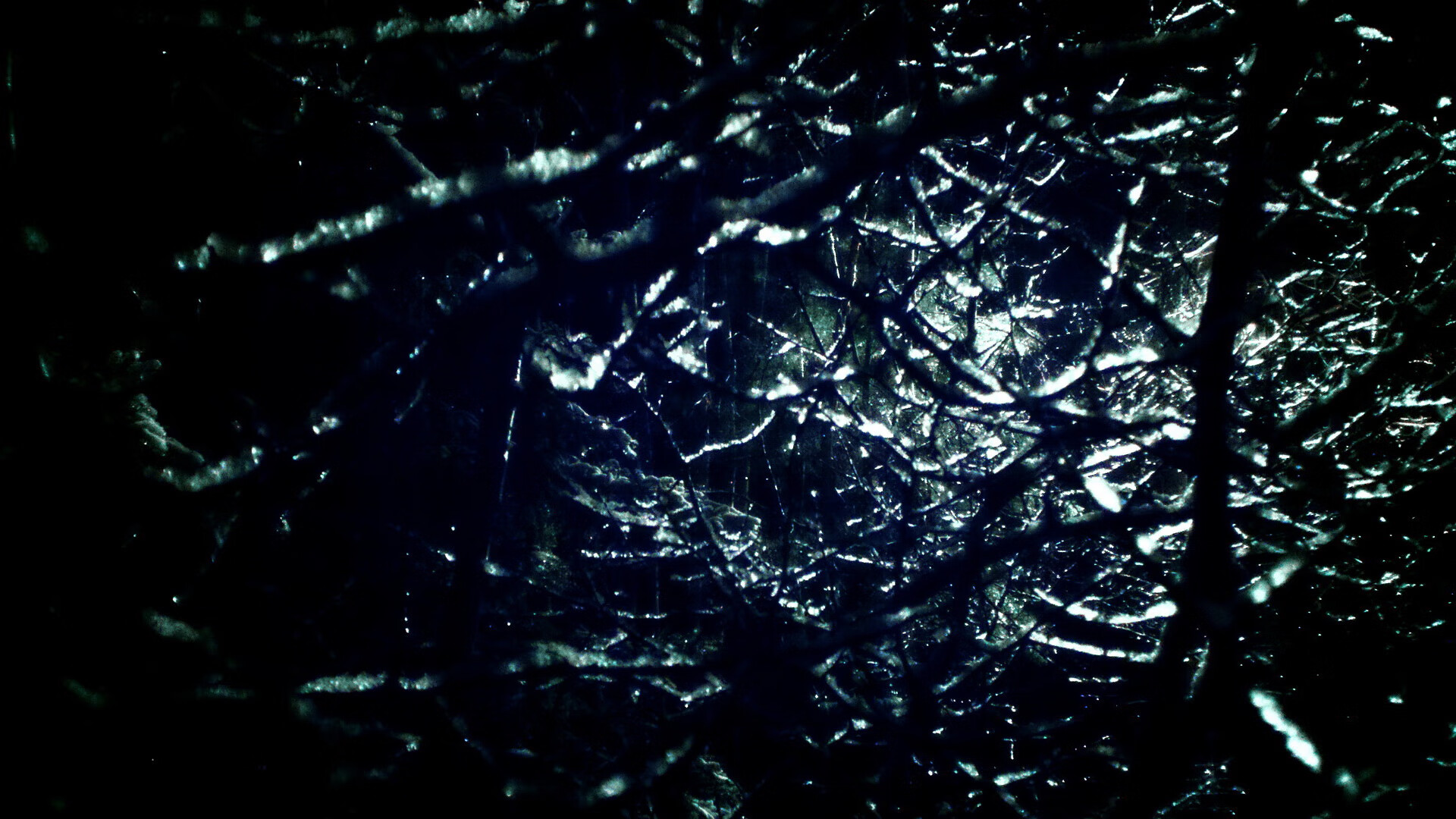 红环之上,绿火、银冰与诺里斯点燃的狂野赛道