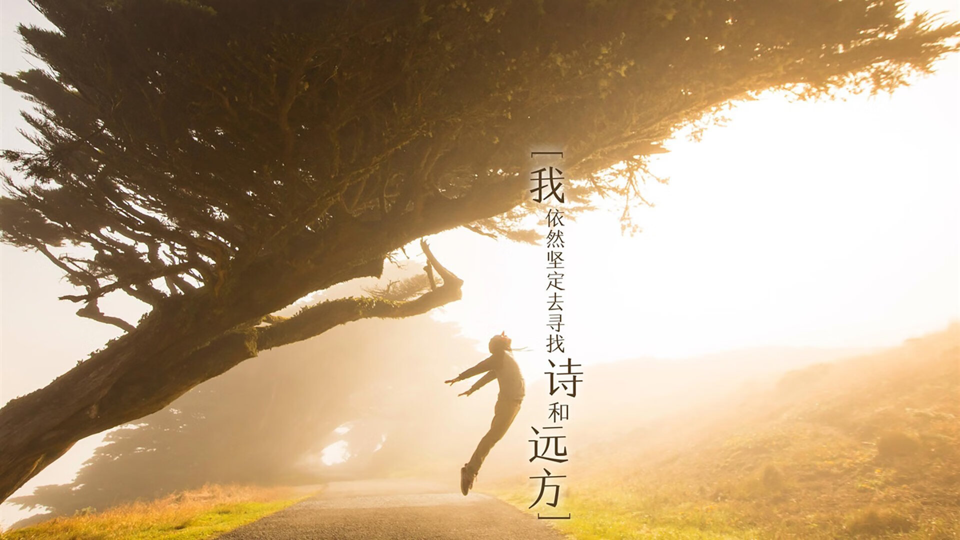 德甲争冠战焦点战，西班牙击溃瑞士的足球启示录