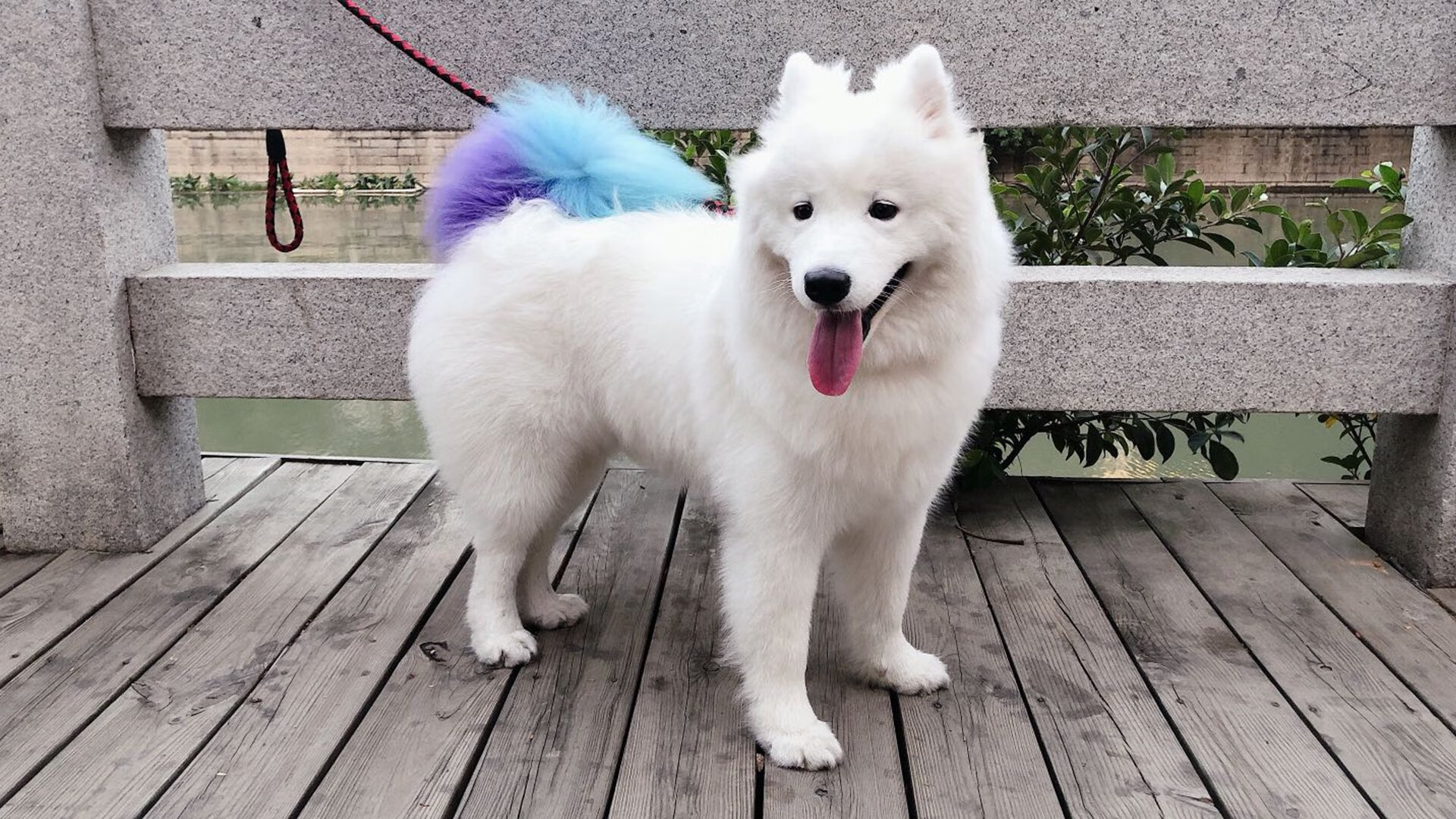 叹息之墙！对阵里昂他拉满评分，阿劳霍筑起乌拉圭柏林墙