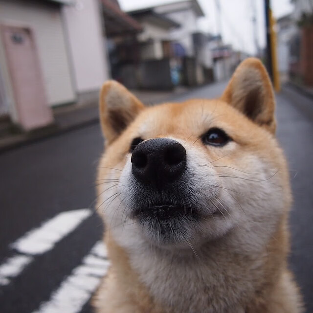 月光下的对决者，当蒂亚戈将斯坦福桥化为那不勒斯史诗的注脚