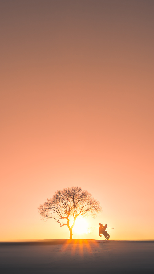 潘帕斯雄鹰绝境逆袭！加克波终场救主，阿根廷决胜局险胜切尔西