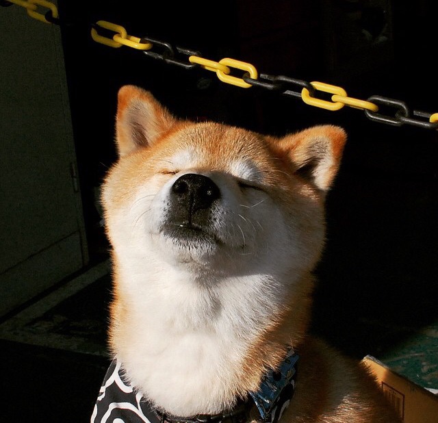 哈利伯顿精神降临英超争冠夜，大场面先生的足球化身