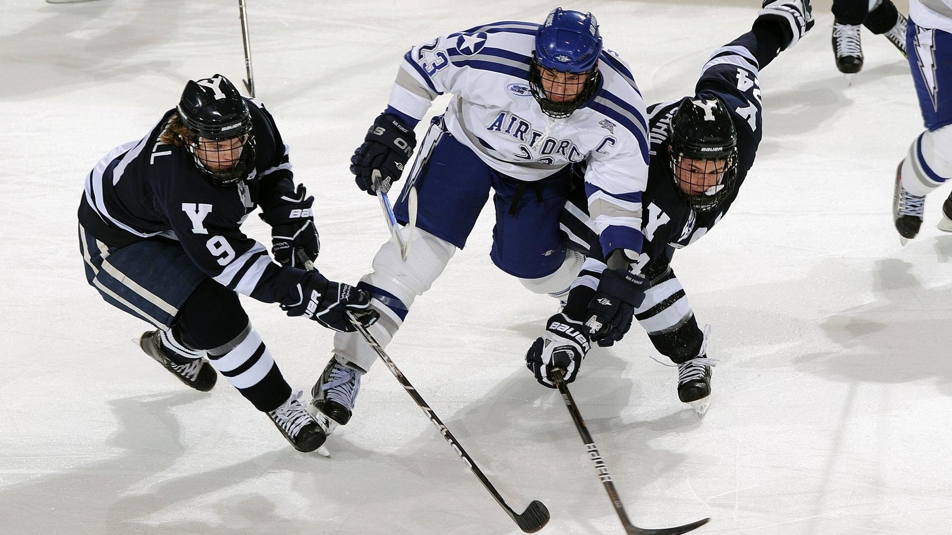 蜂群肆虐撕裂之城，年度焦点战黄蜂全方位碾压开拓者实录