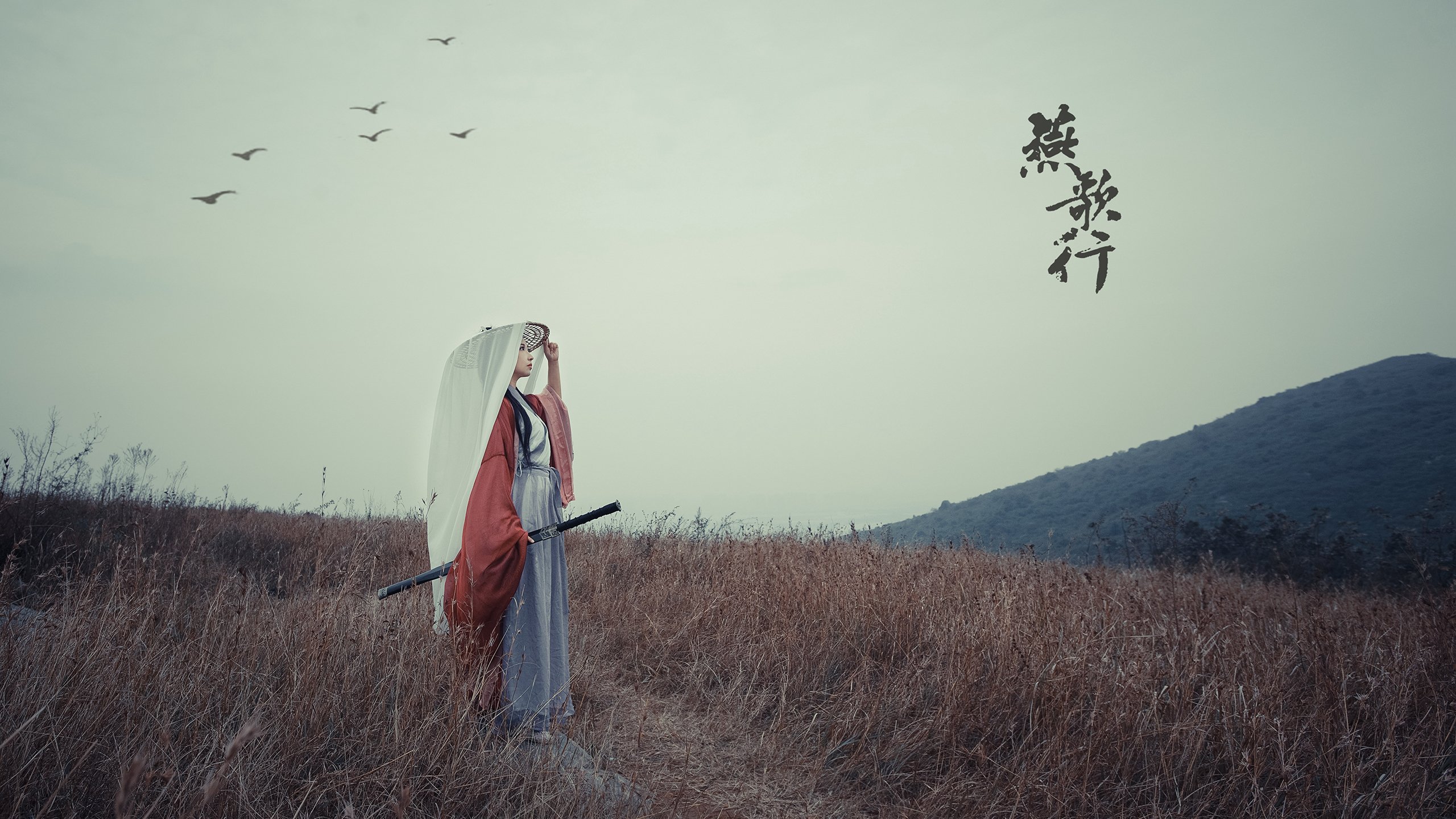 哈利伯顿导演黄蜂节奏革命，当沉默指挥家掐住篮网脉搏