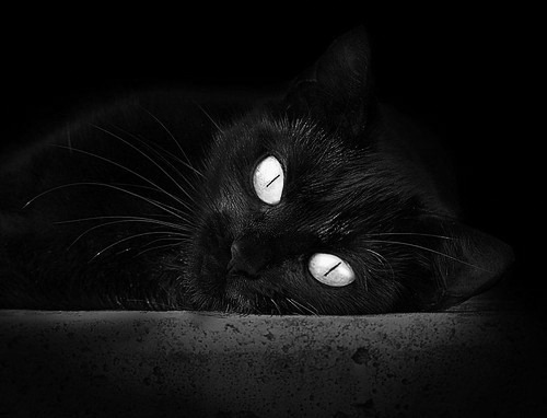 钢铁巨浪淹没天赋壁垒，热火的淬火之战如何重塑联盟认知