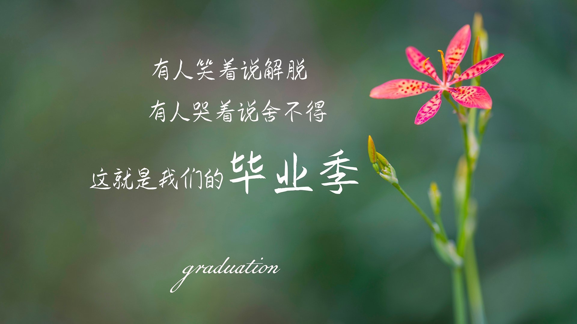 逆袭之巅，灰熊掀翻国王，文班亚马的孤胆英雄时刻